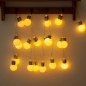 20구 LED 앵두 가랜드 전구(2m) (USB)