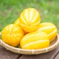 [초록자연] 성주 참외 5kg (16-20과)